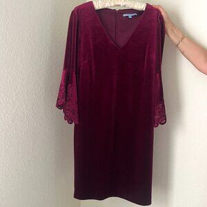 Elegant Antonio Melani Velvet Dress
